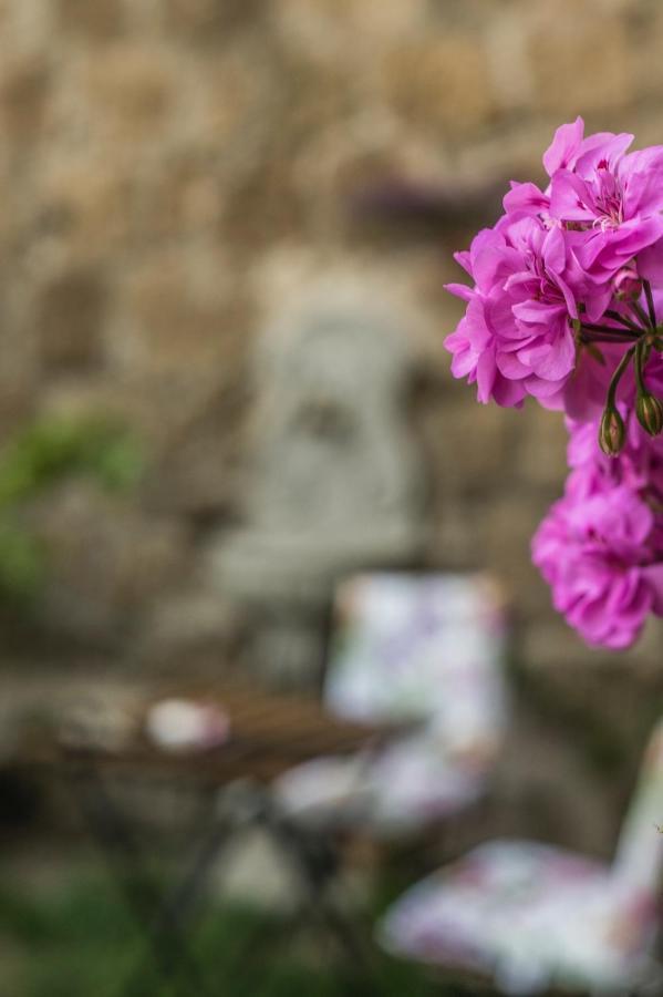 B&B Etruscan Garden ซูตรี ภายนอก รูปภาพ