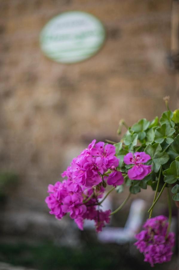B&B Etruscan Garden ซูตรี ภายนอก รูปภาพ