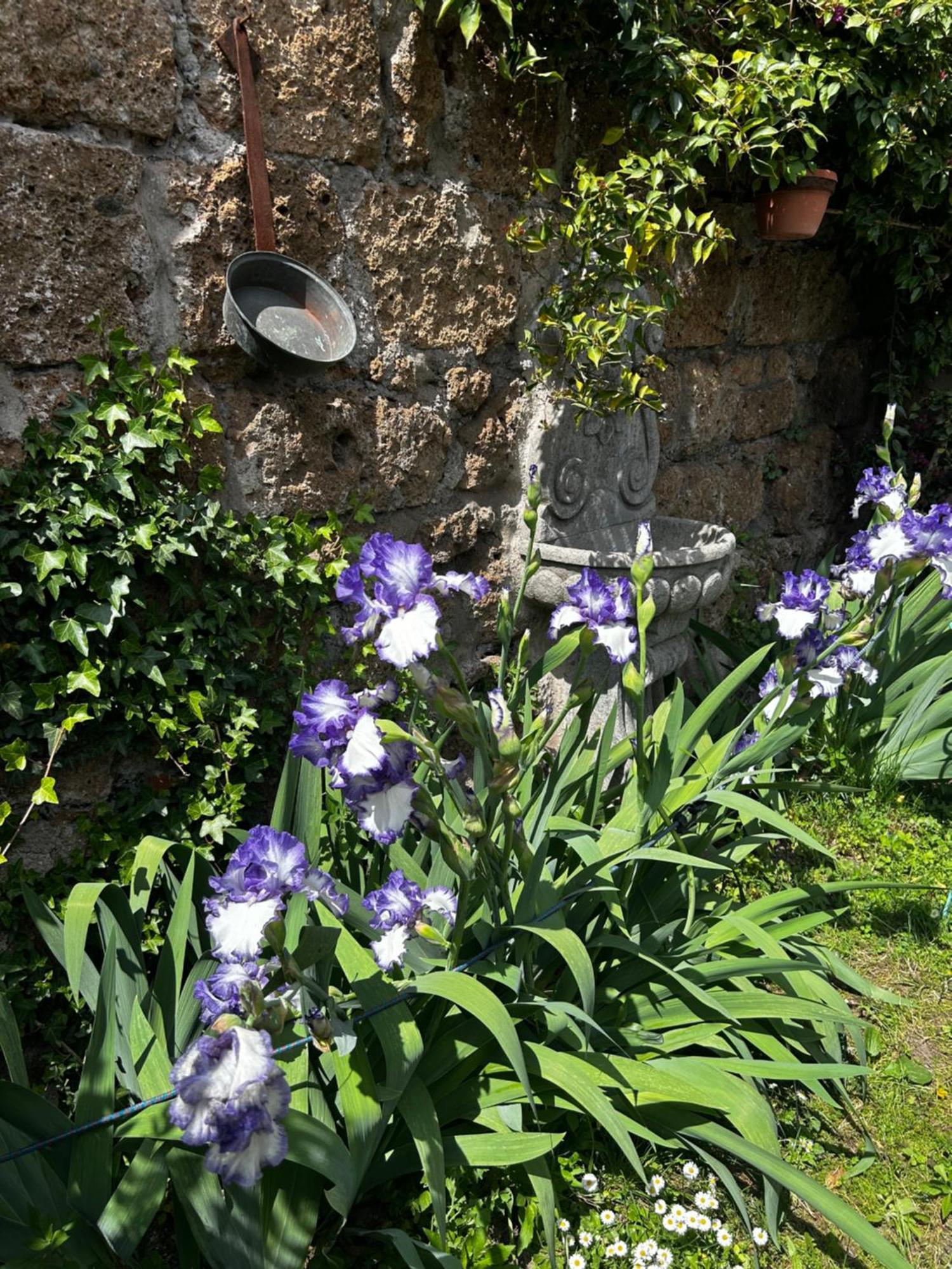 B&B Etruscan Garden ซูตรี ภายนอก รูปภาพ
